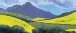 Canola Fields near Shaws Mountain, Caledon District | 2020 | Oil on Canvas | 51 x 36 cm